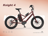 Knight 4 Aluminum Alloy Anti-Fall Aowntube style E-bike Battery Case