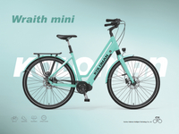 Wraith mini 6Pin Anti-Fall New Arrivals E-bike Battery Case