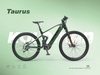 Taurus Diy With Type-C Interface E-bike Battery Case