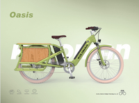 Oasis Independent With Type-C Interface E-bike Battery Case