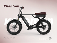 Phantom Metal Energy Saving New Arrivals E-bike Battery Case